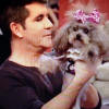 Simon Cowell and Animal Actors