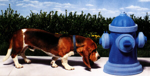 Bassett_Hound.JPG (27120 bytes)