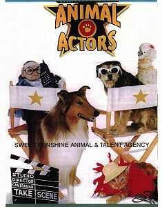 All Animal Actors International 877-609-1687 Star Search Hollywood to New  York, Animal and Dog Talent Agency, Established 1981. -