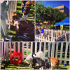 PetSmart Inspiration Tour Animal Actors Animal Talent Agency